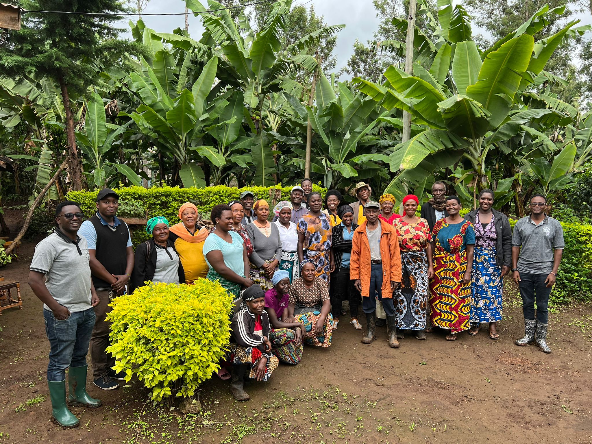 Community-Based Programs
