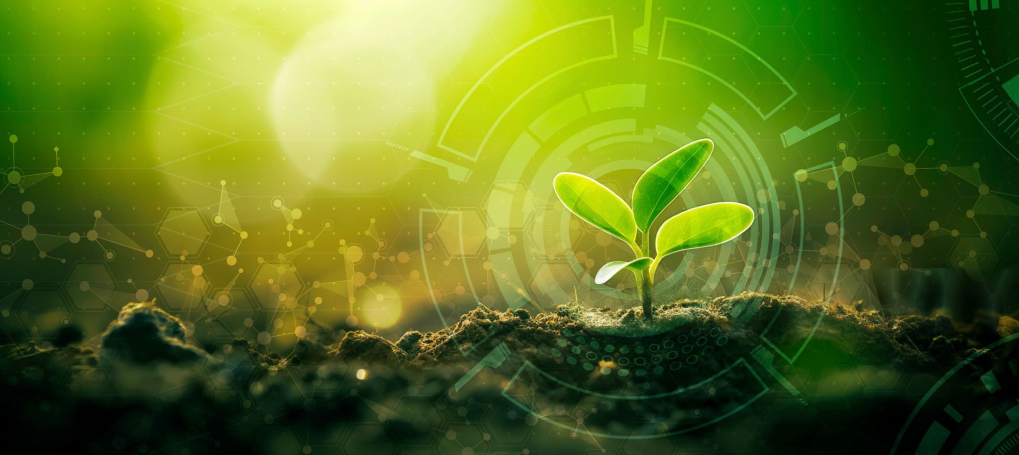 Empowering Rural Communities: RECODA's 22-Year Journey in Sustainable Development
