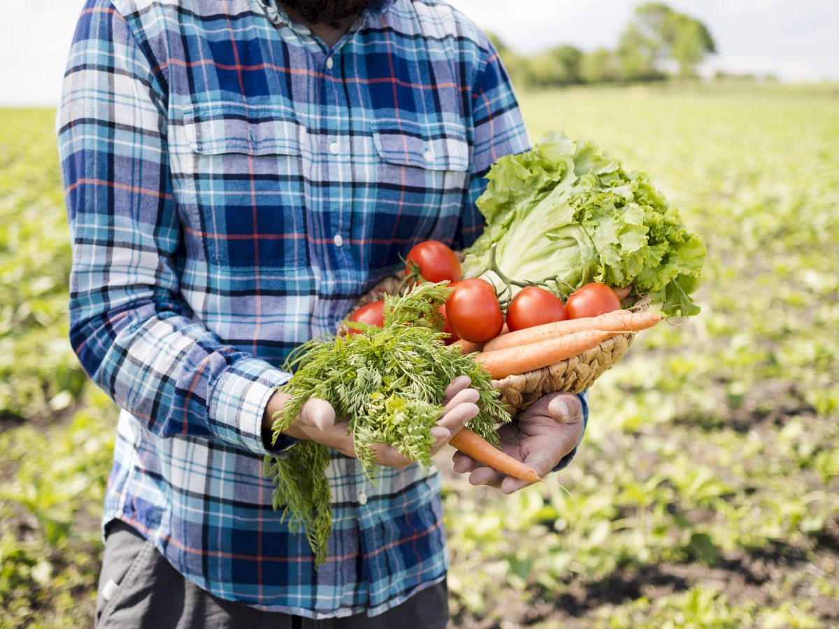 What We Do — Integrated solutions for sustainable development