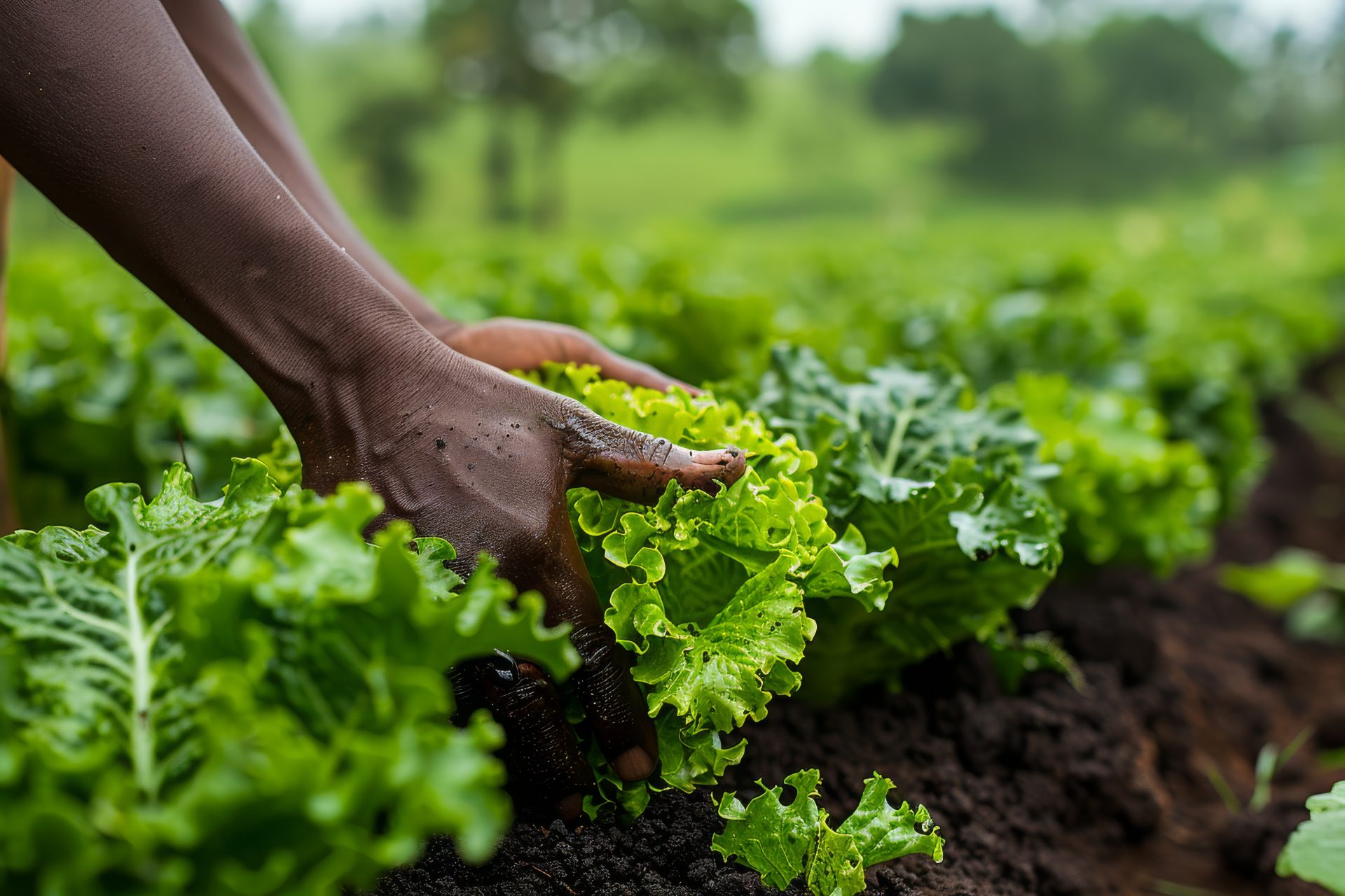 Research · Community · Development — Building brighter futures for rural Tanzania