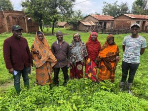 RIPAT Project Kasanda & Nyaronga AP Kakonko Kigoma