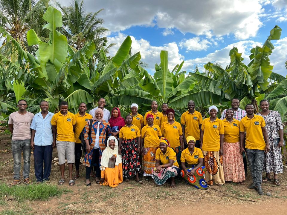 RIPAT Project Buhoma & Nyakintonto AP Kasulu Kigoma